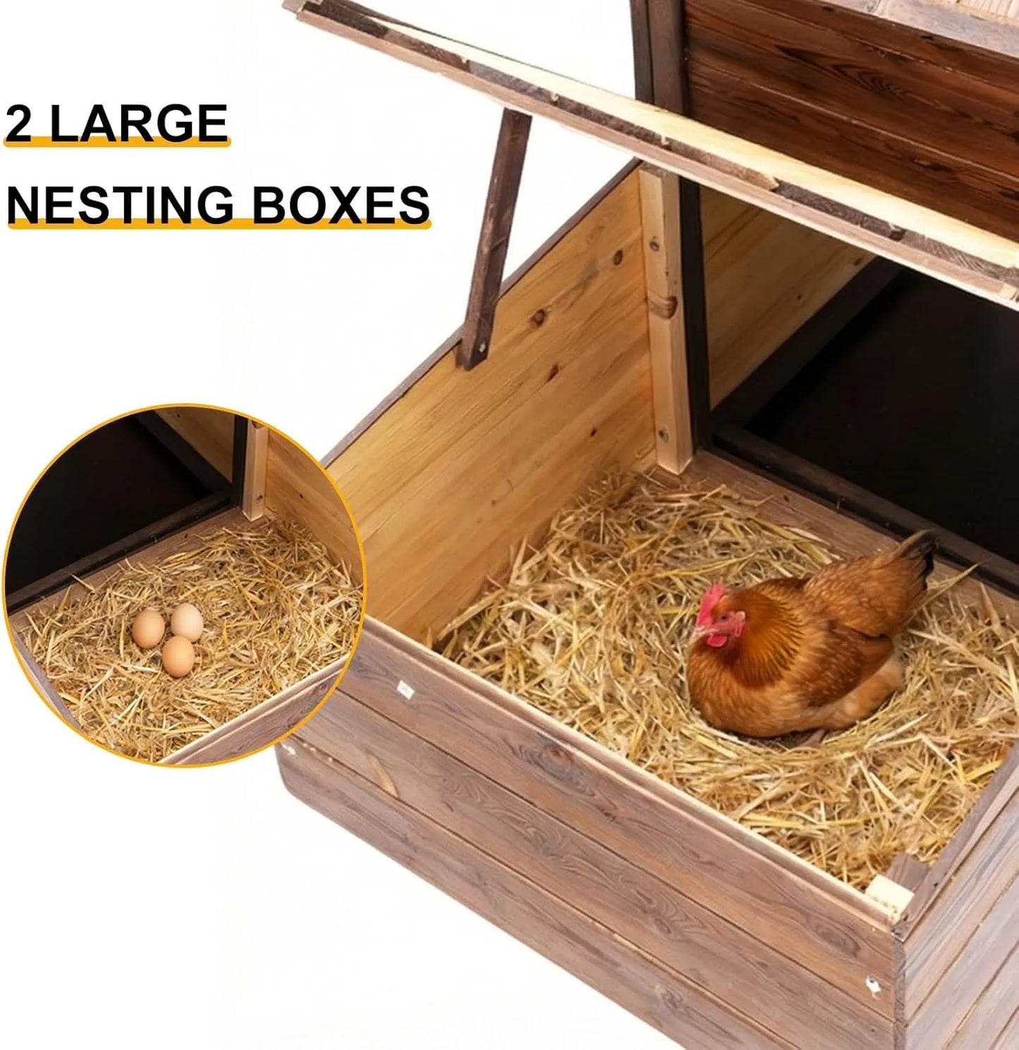 Chicken Coop With Two Nesting Boxes Outdoor Wooden Hen House