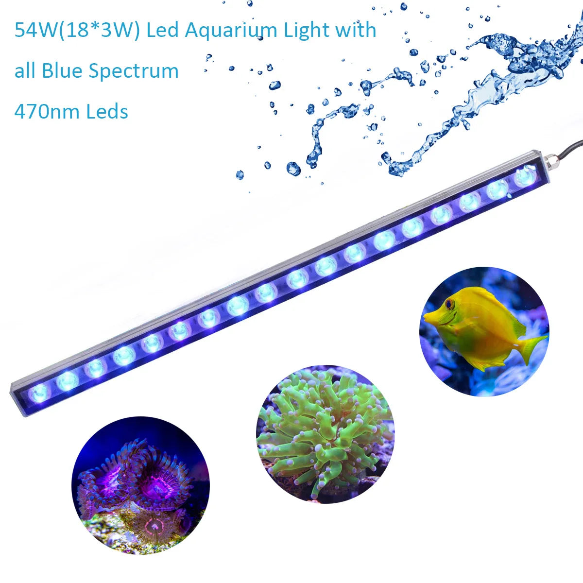 Populargrow High Efficiency Led Light For Coral Reef Aquariums