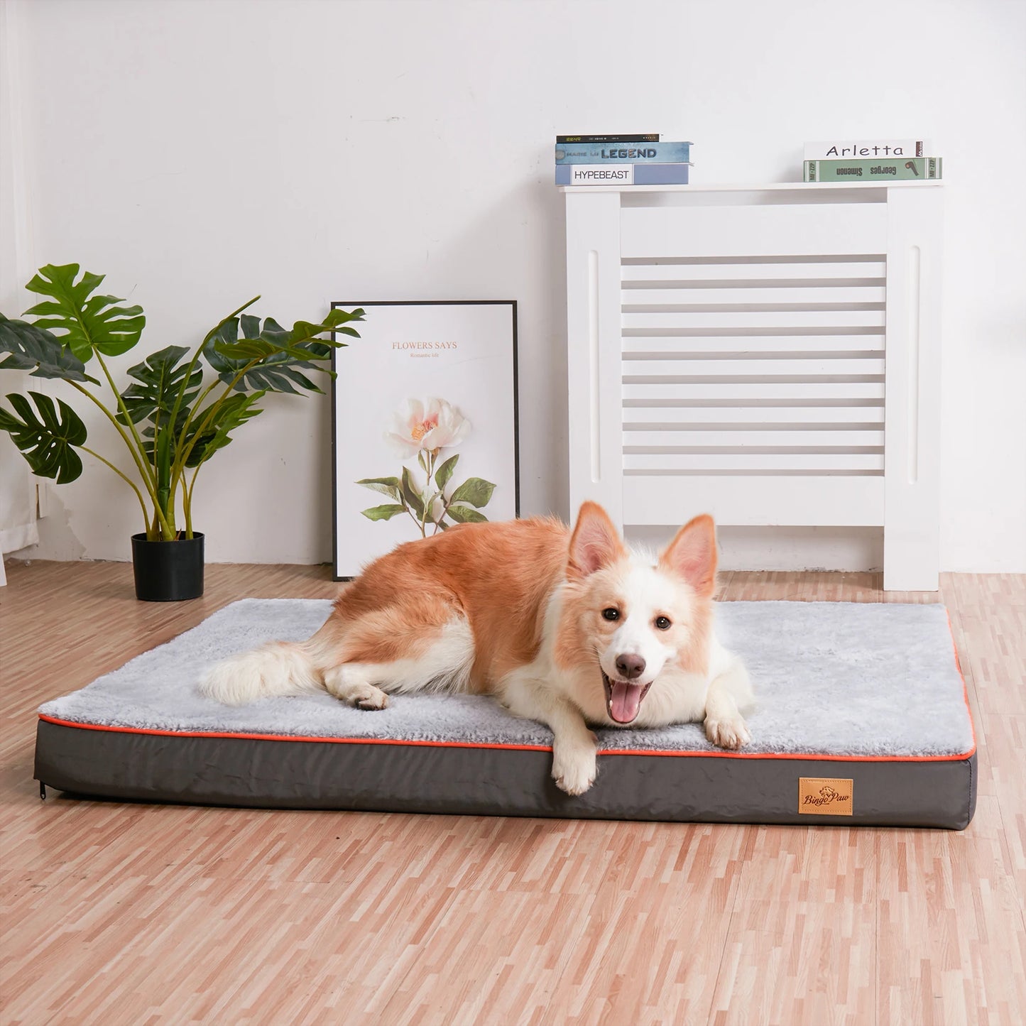 Bingopaw Orthopedic Memory Foam Dog Bed Waterproof Non Slip Removable Cover