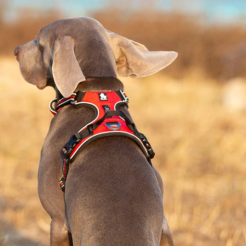 TrueLove CN Reflective No Pull Dog Harness Adjustable For All Breeds