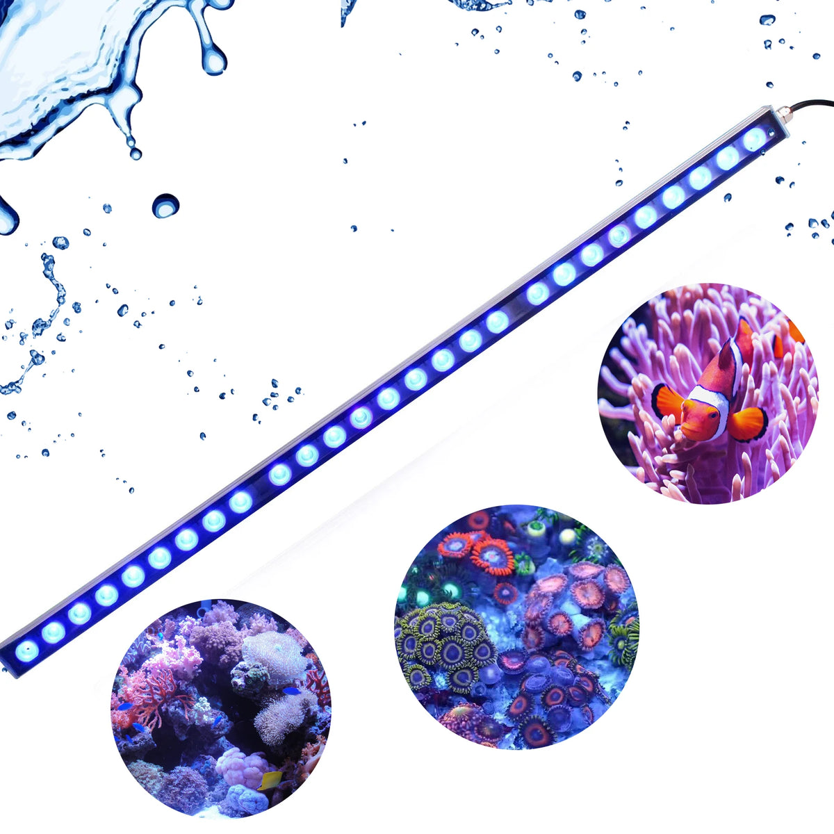 Populargrow High Efficiency Led Light For Coral Reef Aquariums