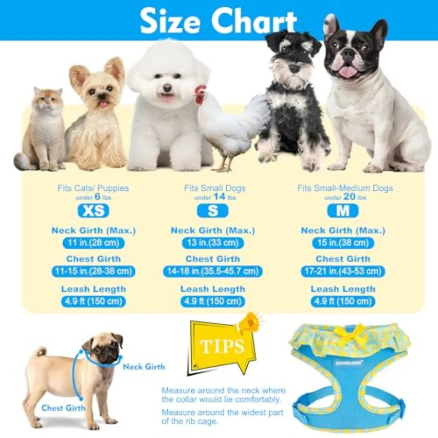 Adjustable No Choke Step In Dog Harness Leash Set Lightweight Mesh
