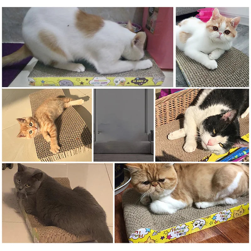 Cat Scratcher Claw Sharpening Cardboard Scratching Toy