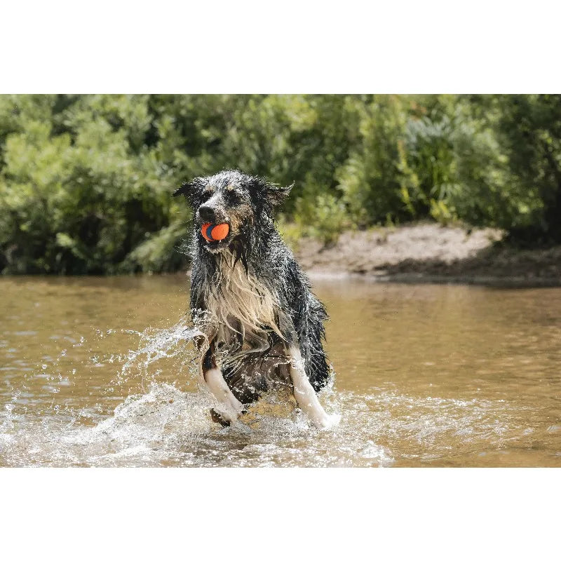 Ultra Ball Rubber Super Bouncy Dog Toy For Land And Water