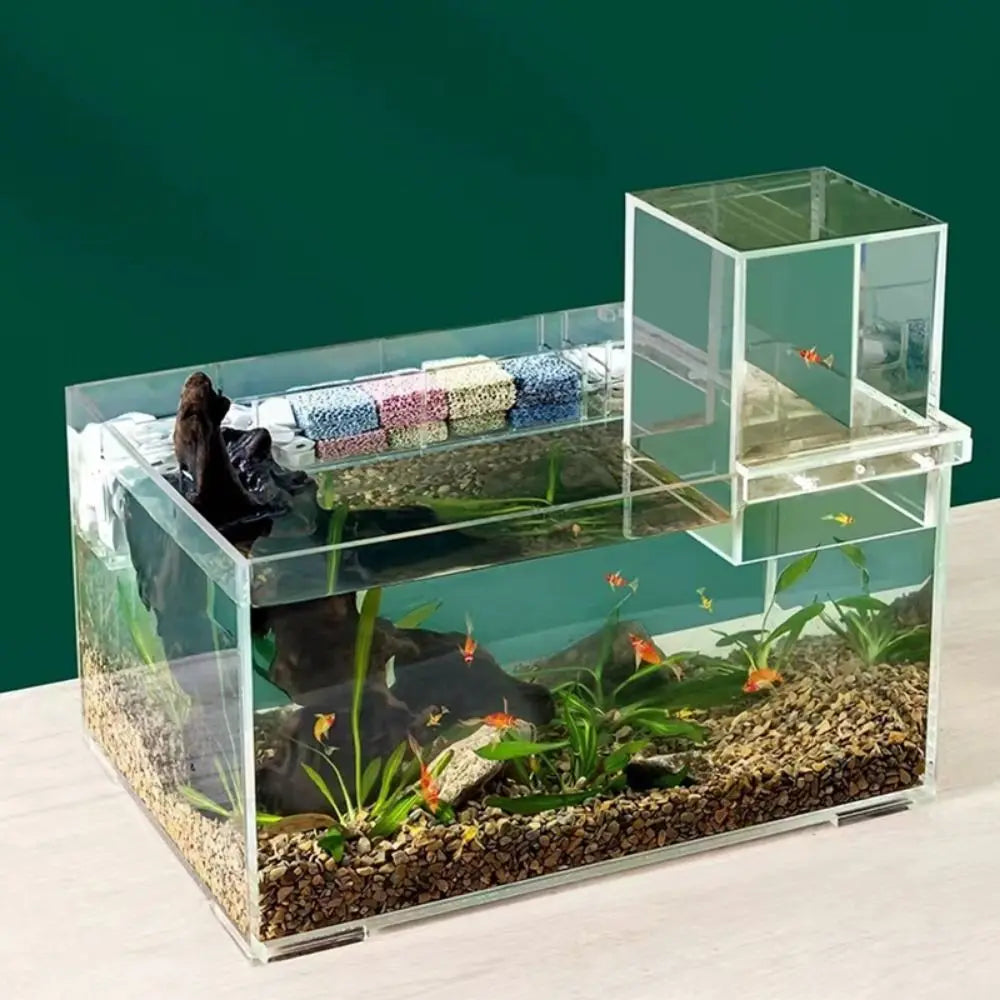 Landscaping Negative Pressure Fish Tank Unique Eye-catching Acrylic Suspended Fish Tank Easy to Install