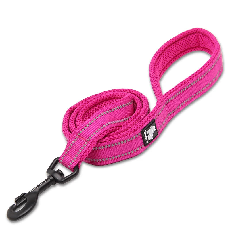 Winhyepet Padded Handle Dog Leash Durable Training Nylon