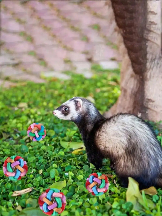 Ferret Toy With Bell - Colorful Squeaky Chew Ball For Small Pets