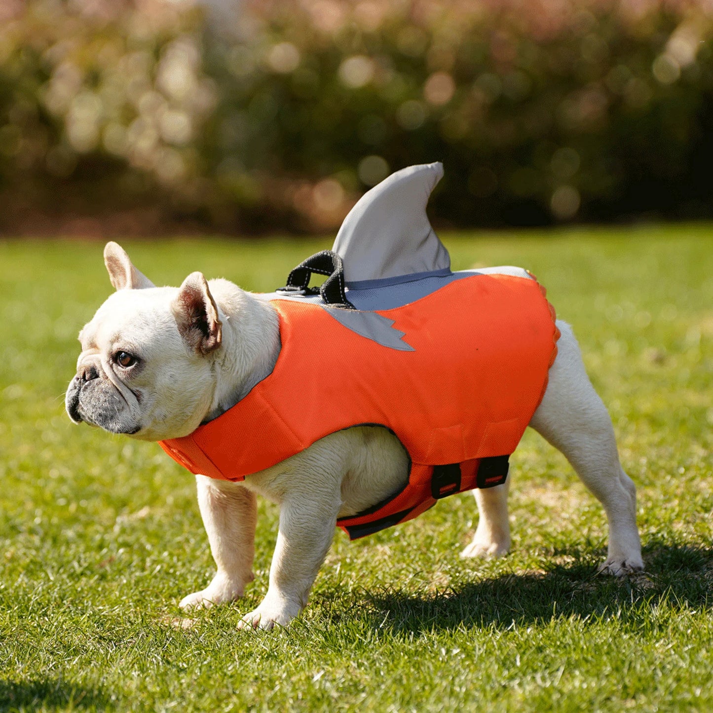 WANGUPET Dog Life Jacket High Buoyancy Safety Vest With Rescue Handle