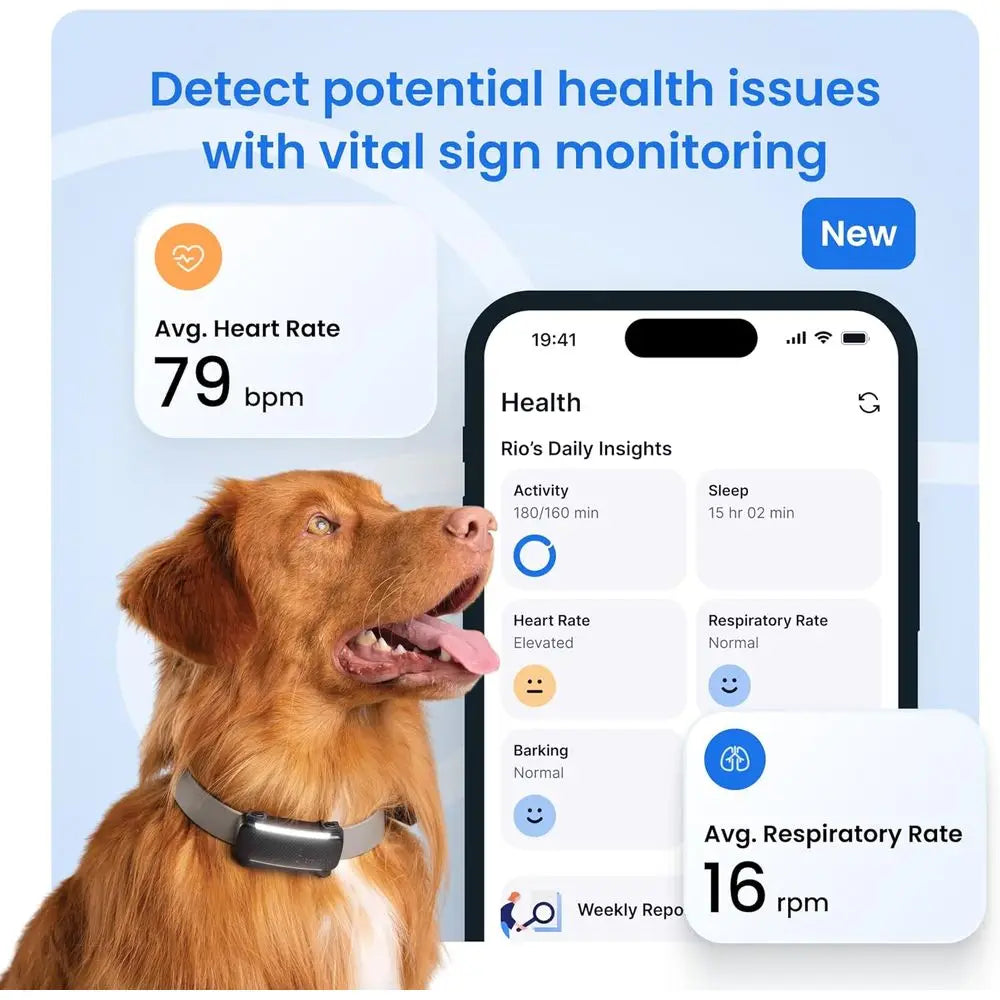 Smart Dog GPS Tracker With Live Location And Virtual Fence Bark Detection