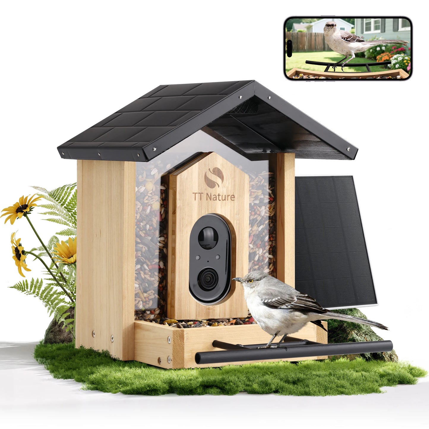 Bird Feeder With Camera Smart Birdhouse AI Identifies 10000 Plus Species