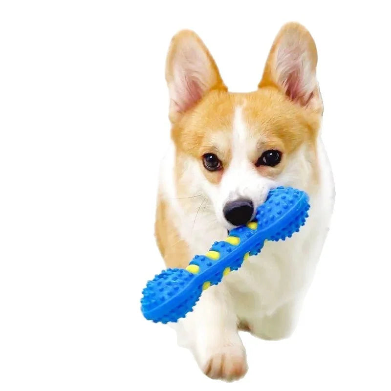 Dog Chew Toy Rubber Bone For Teeth Cleaning And Interactive Play