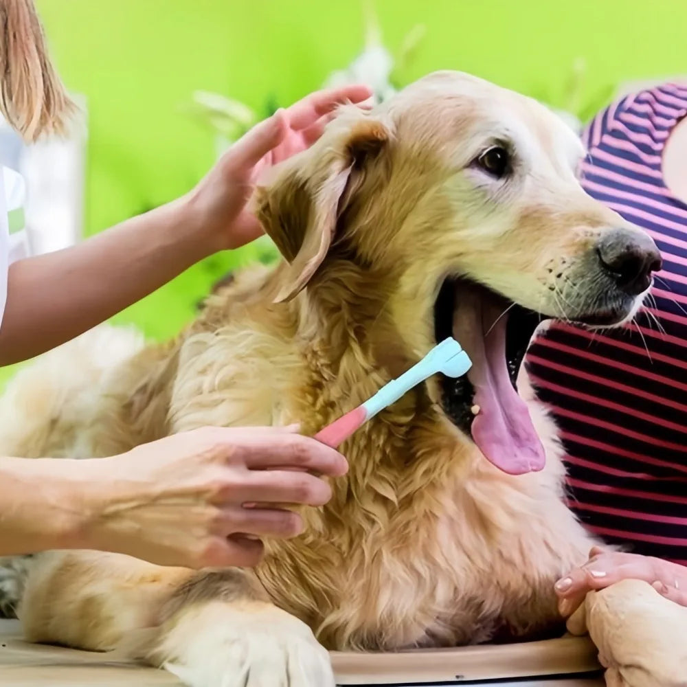 Three Sided Pet Toothbrush For Dogs And Cats Dental Care