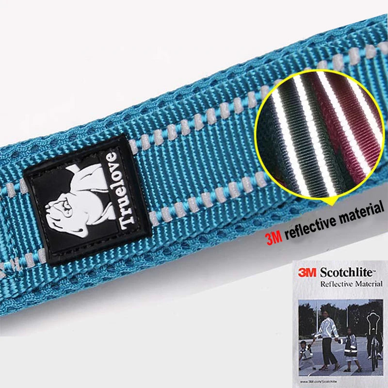 Winhyepet Padded Handle Dog Leash Durable Training Nylon