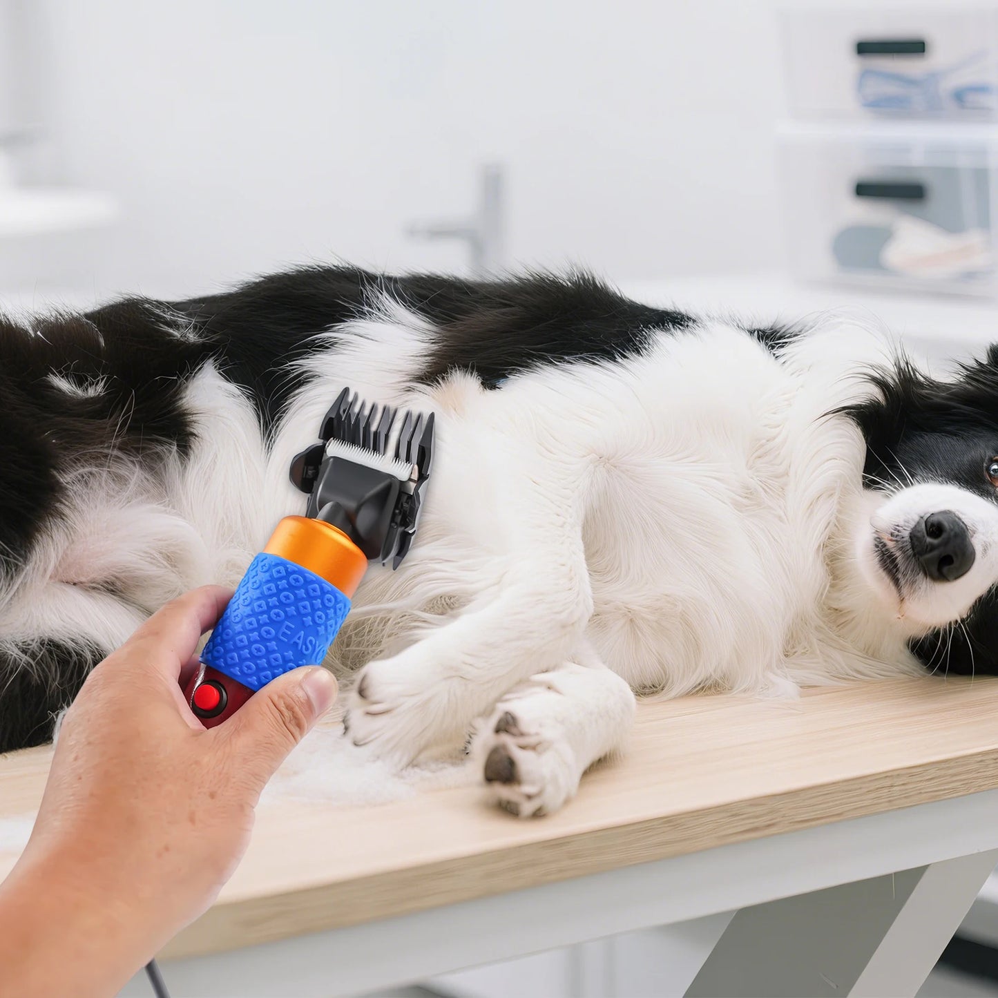 36W Professional Dog Clipper Cat Hair Trimmer Grooming Kit