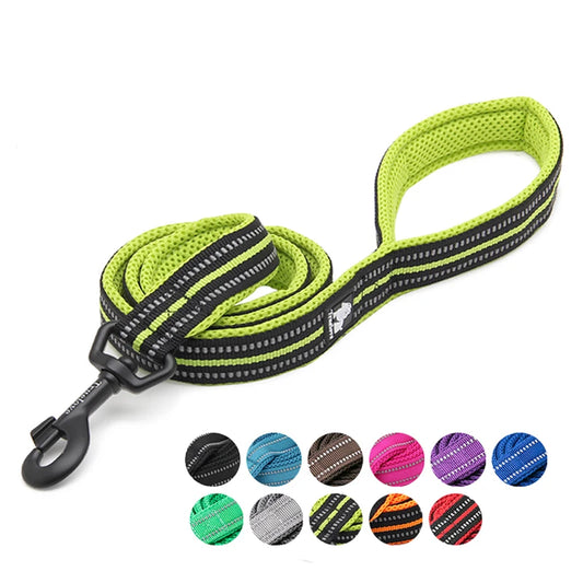 Winhyepet Padded Handle Dog Leash Durable Training Nylon
