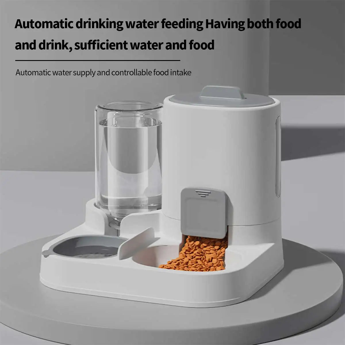 Dual Purpose Pet Feeder and Waterer for Small to Medium Dogs and Cats