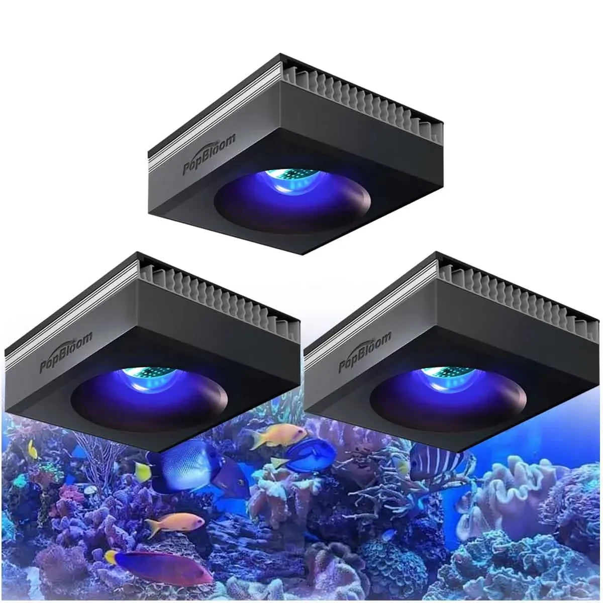 PopBloom 100W WiFi Reef Aquarium Light Full Spectrum LED