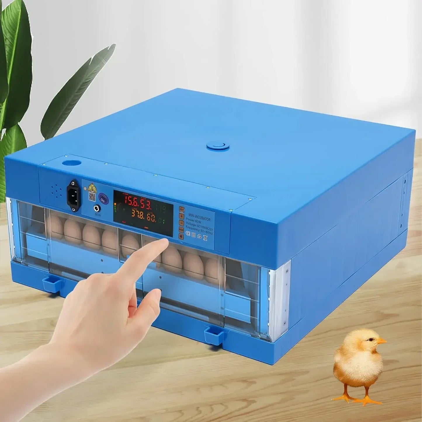 64 Egg Incubator 110V 12V Automatic Digital Household Unit