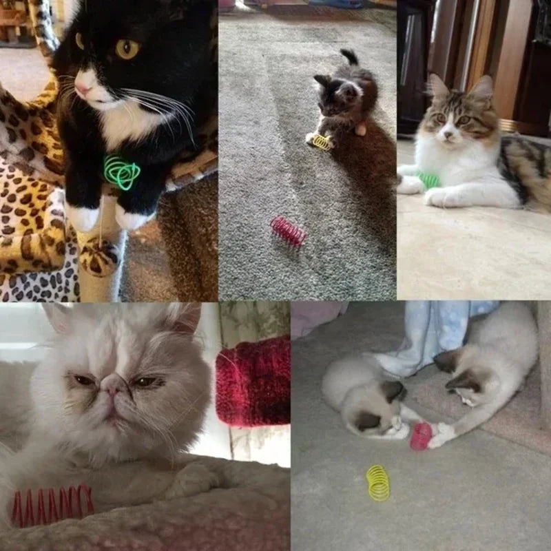 12PCS 12Colors Cat Spring Toys for Indoor Cats, Interactive Coil Springs for Self Play, Durable Heavy Plastic Cat Spiral Spring