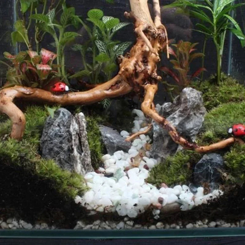 Natural Tree Trunk Driftwood Aquarium Decoration For Fish Tanks And Plants