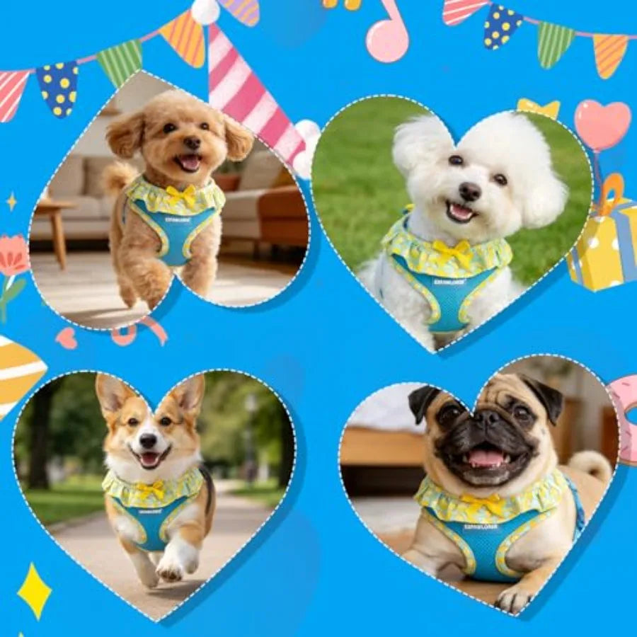 Adjustable No Choke Step In Dog Harness Leash Set Lightweight Mesh