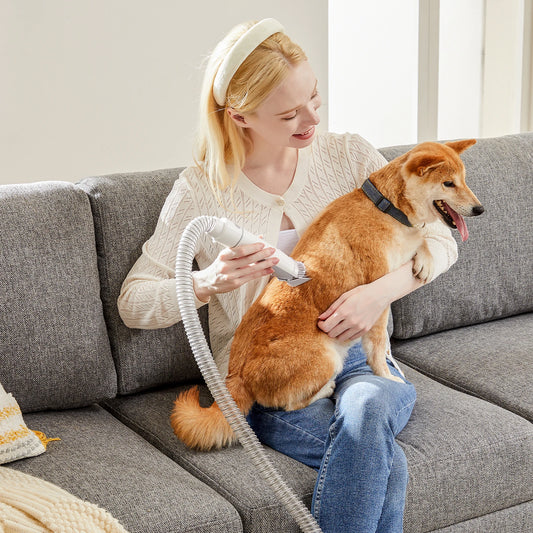 Pet Grooming Vacuum Kit With Cordless Low Noise Clippers 3 Suction Modes