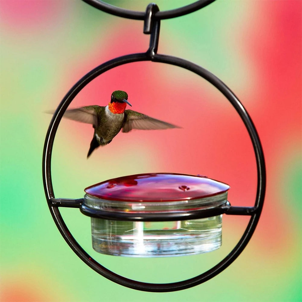 Hummingbird Drinker Feeder Ant Bee Proof Outdoor Bird Feeder