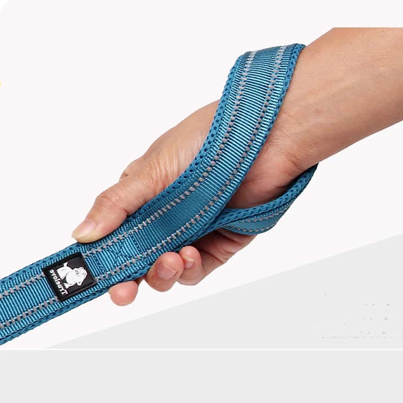 Winhyepet Padded Handle Dog Leash Durable Training Nylon