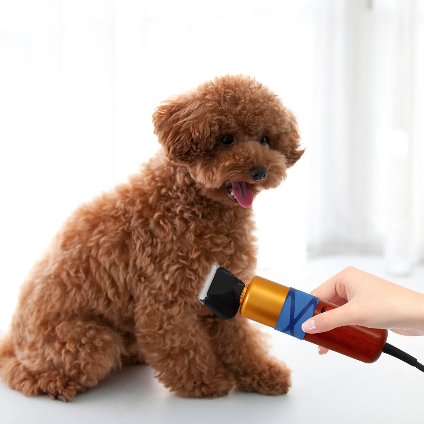 Pet Hair Clipper Low Noise Variable Speed Professional Electric