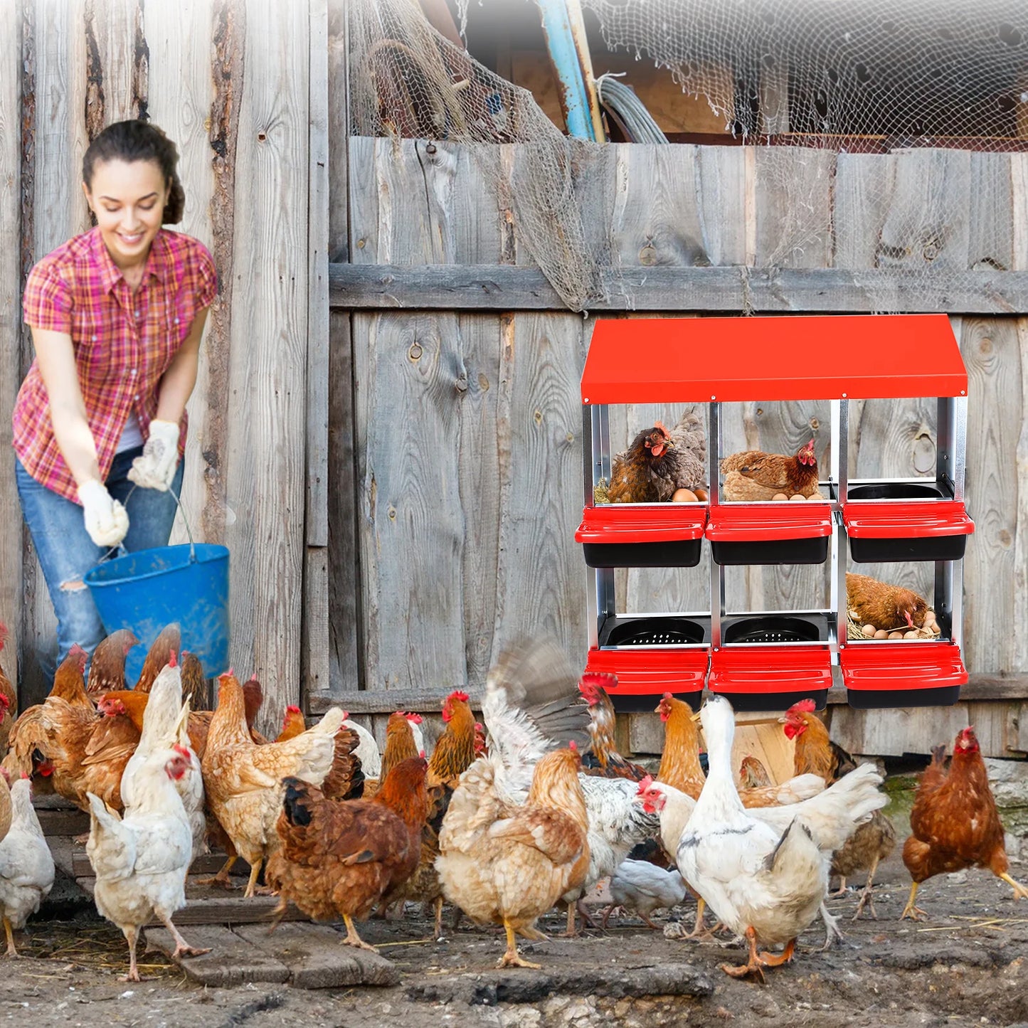 HiMISS Multi Compartment Chicken Nesting Boxes With Rollout Egg Collection