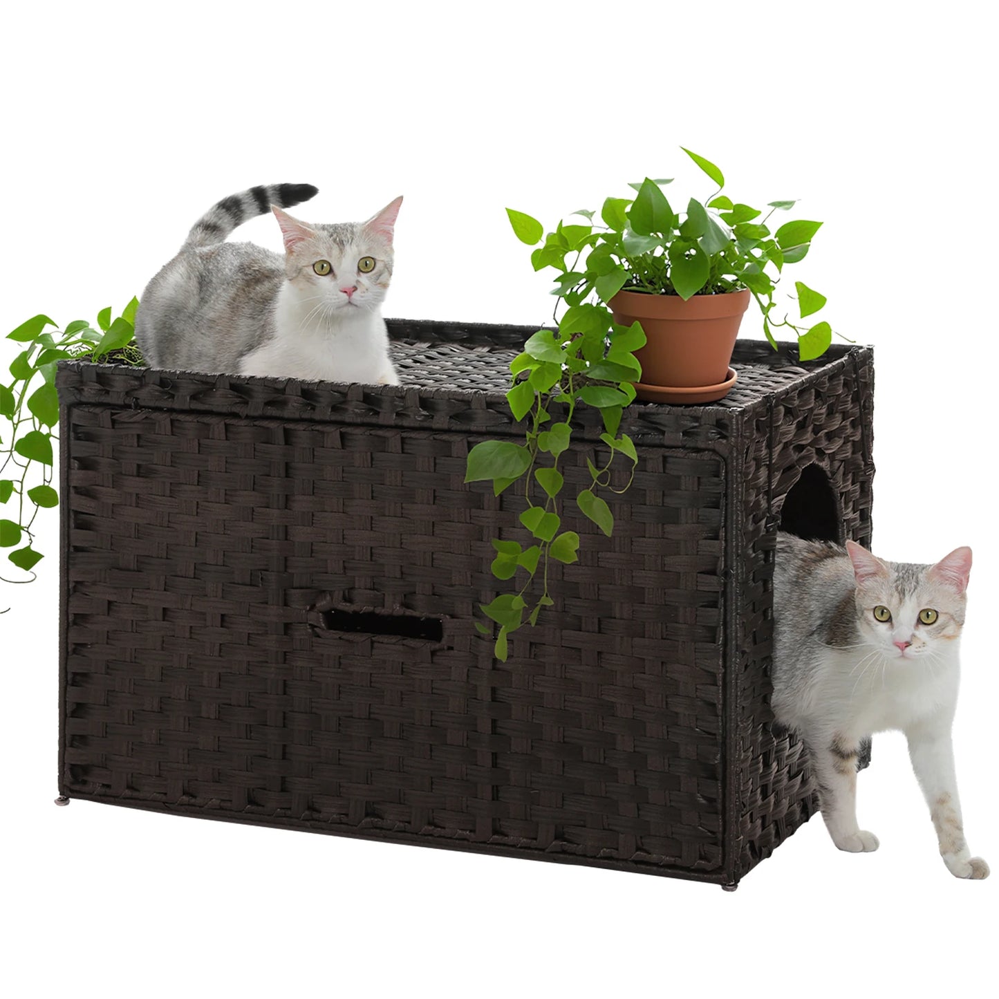 PEQULTI Rattan Cat Litter Box Enclosure With Taller Doorway And Raised Edge Mat