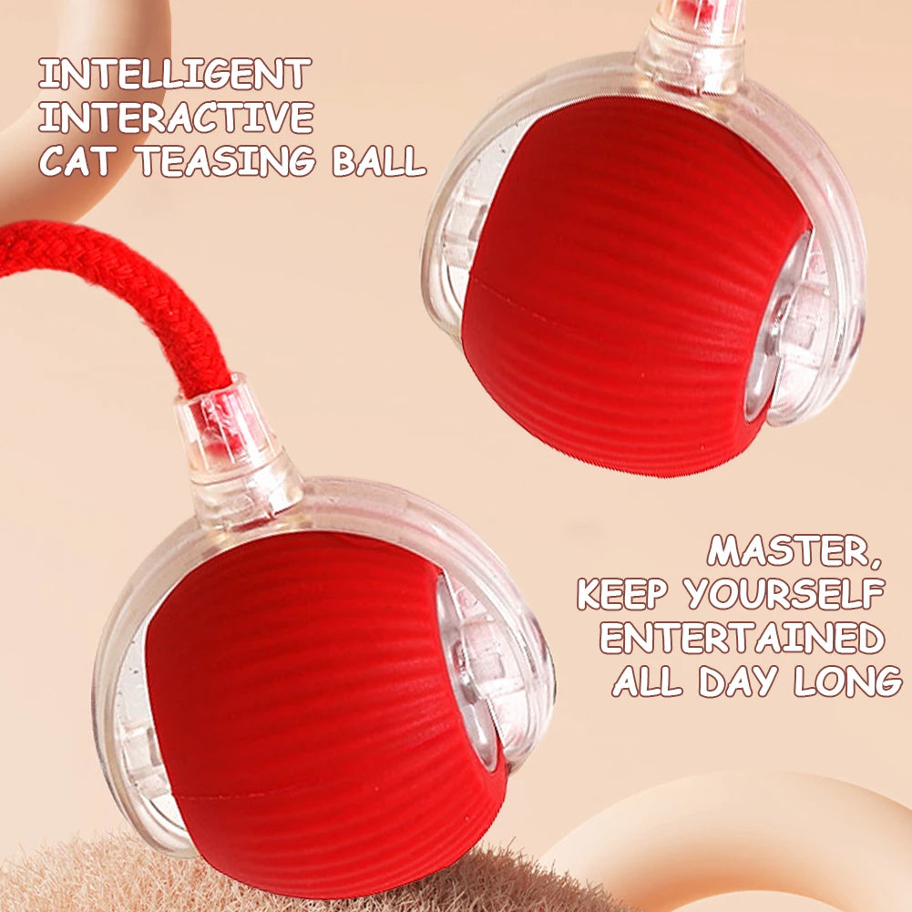 Alloet Cat Interactive Ball Toys Automatic Rolling Ball Indoor Cats