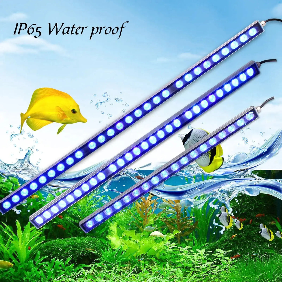 Populargrow High Efficiency Led Light For Coral Reef Aquariums