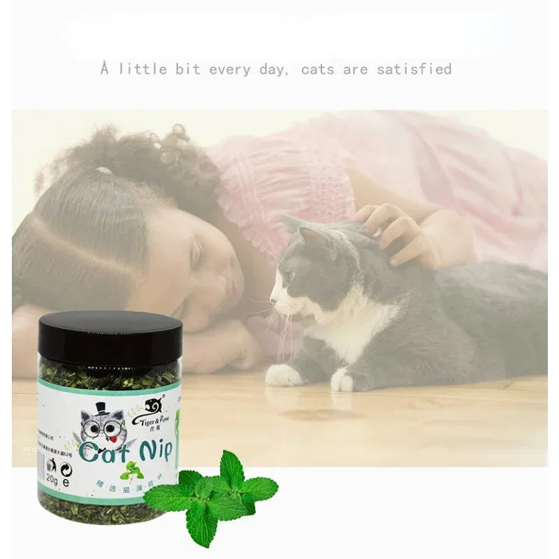 Organic Catnip Grass Mint Cat Toy For Cats Interactive Fun Pet Supplies