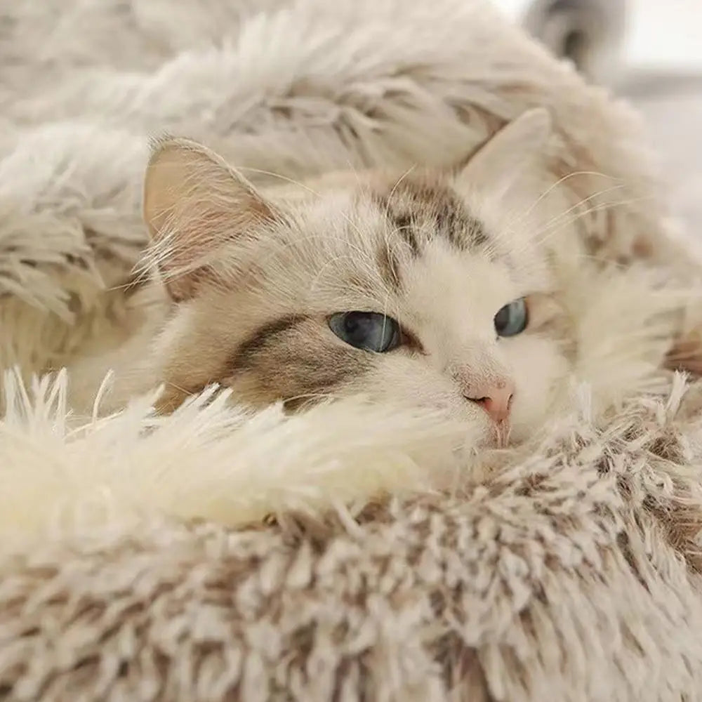 Winter Plush Round Cat Bed 2 In 1 Sleeping Nest For Small Dogs