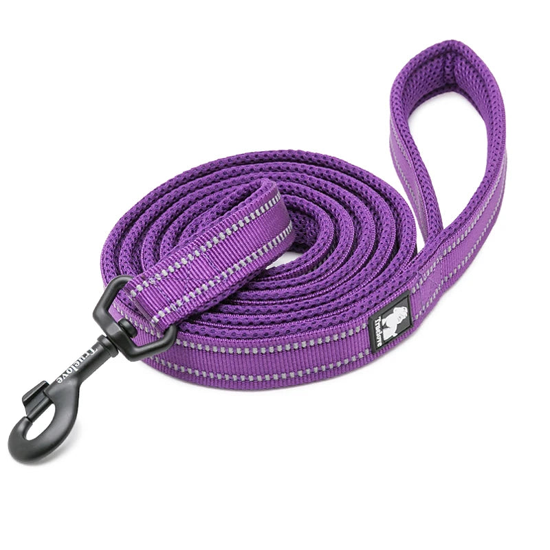 Winhyepet Padded Handle Dog Leash Durable Training Nylon