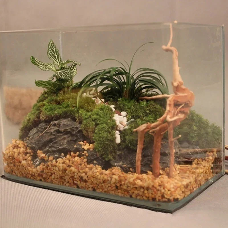 Natural Tree Trunk Driftwood Aquarium Decoration For Fish Tanks And Plants
