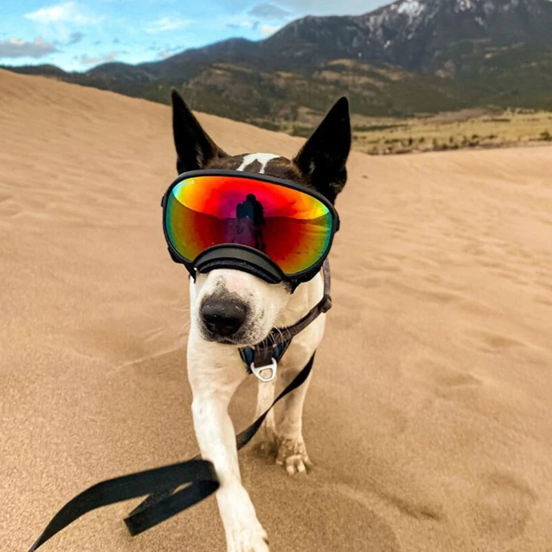 PETRAVEL CN Dog Goggles Anti UV Sunglasses For Travel Protection