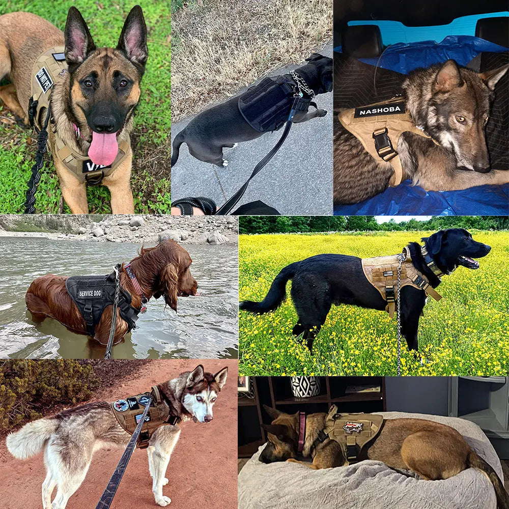 Dog Harness And Leash Set Padded Training Vest For German Shepherd Malinois