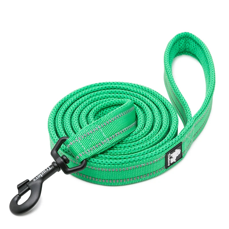 Winhyepet Padded Handle Dog Leash Durable Training Nylon