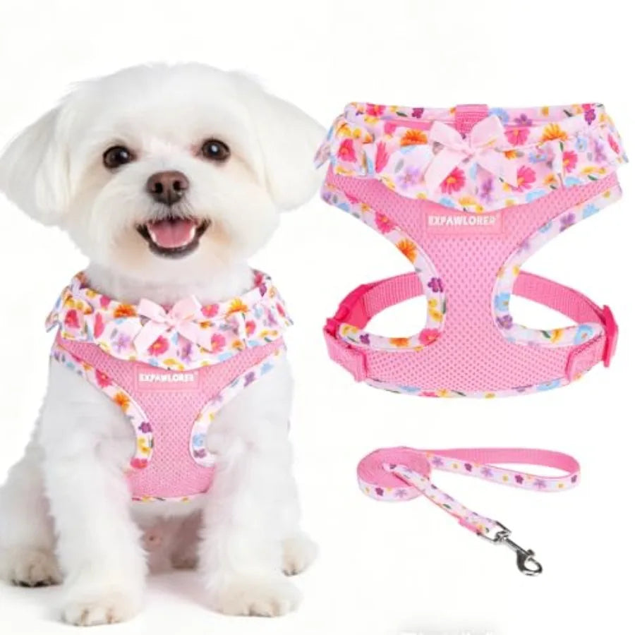 Adjustable No Choke Step In Dog Harness Leash Set Lightweight Mesh