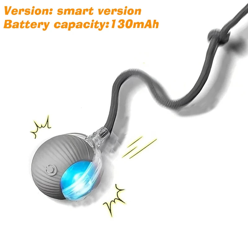 Automatic Rolling Interactive Dog Ball Toy Rechargeable Smart Puppy Toy