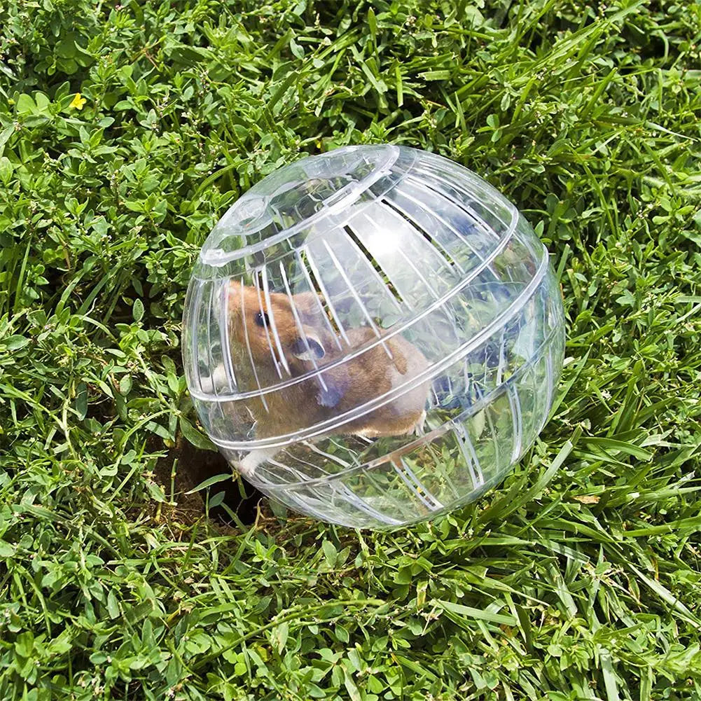 Transparent Acrylic Hamster Exercise Wheel Escape Proof Safe And Portable