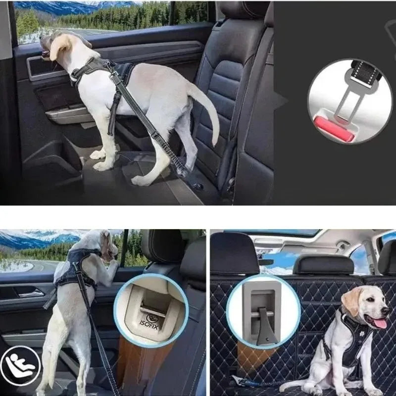Pet Seat Belt Adapters for Cars and Trucks Metal Clips for Leashes