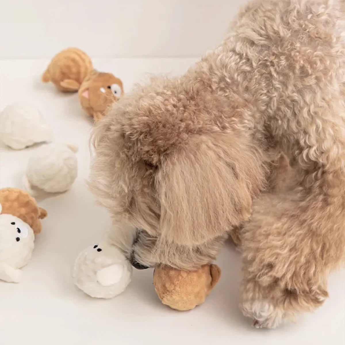 Squeaky Puppy Ball Toy Spiked Chew For Teeth Cleaning, Interactive