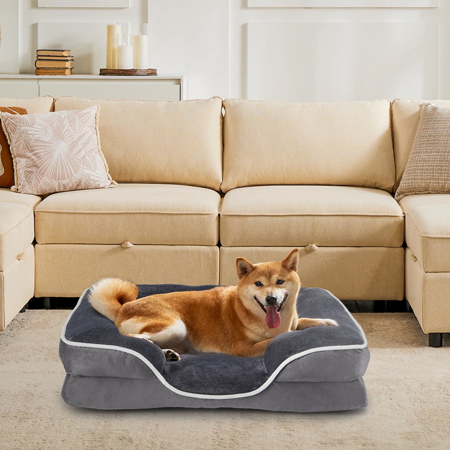 JHK Orthopedic Memory Foam Dog Bed For Small Dogs And Cats With Washable Cover