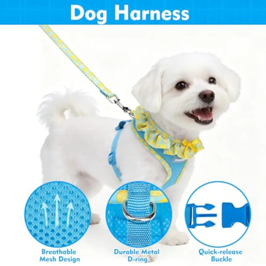 Adjustable No Choke Step In Dog Harness Leash Set Lightweight Mesh