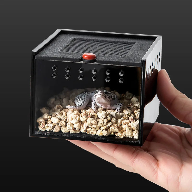 Acrylic Insect Feeding Box For Reptiles And Spiders