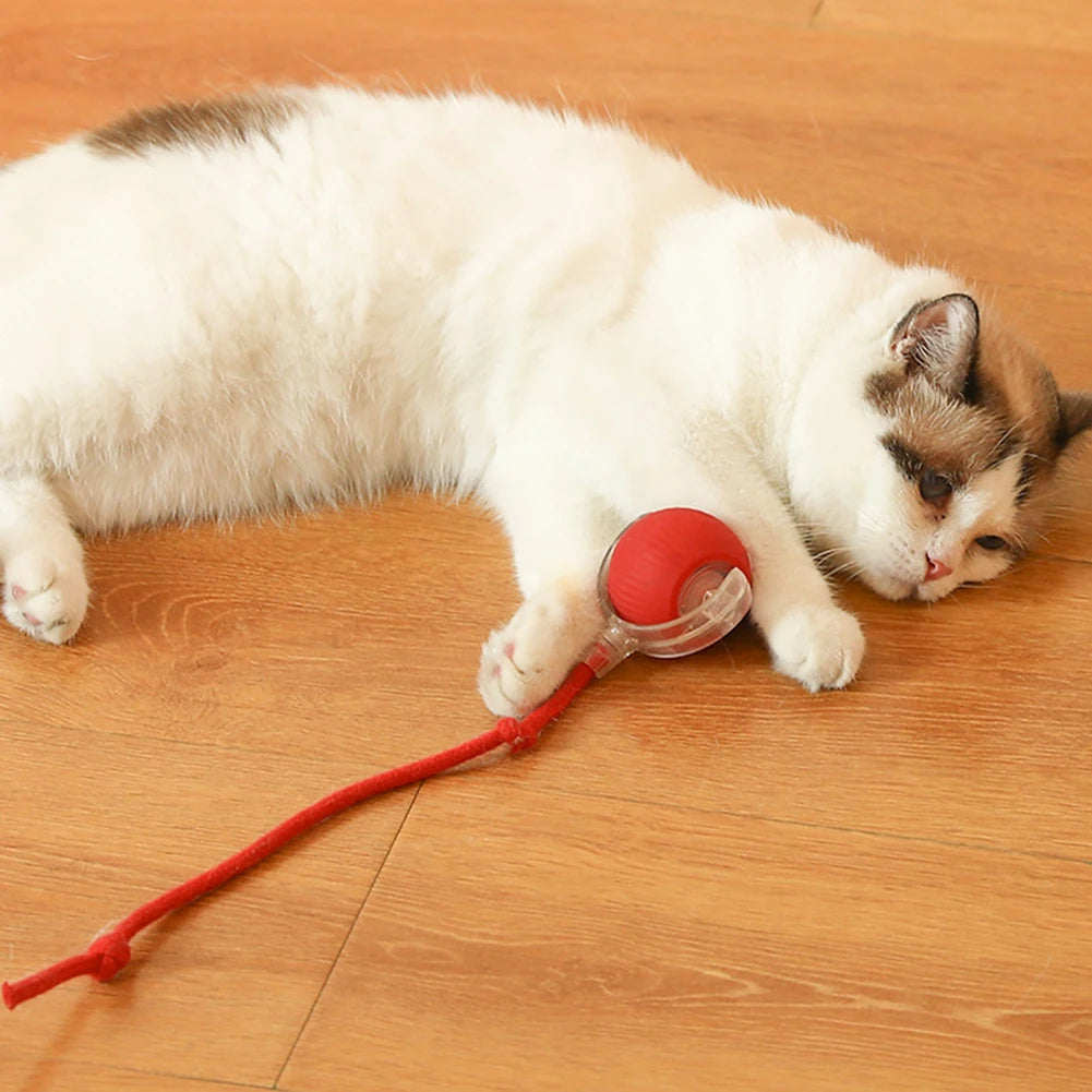 Alloet Cat Interactive Ball Toys Automatic Rolling Ball Indoor Cats