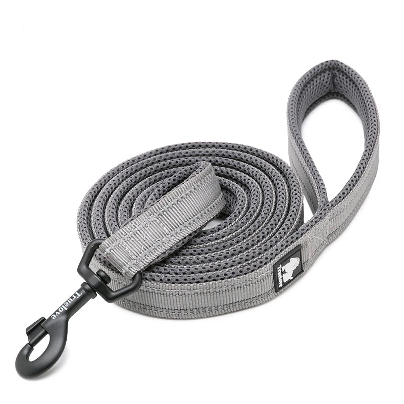 Winhyepet Padded Handle Dog Leash Durable Training Nylon